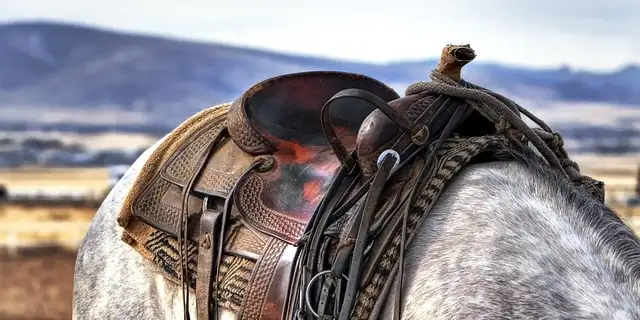 clara-and-the-cowboy Image