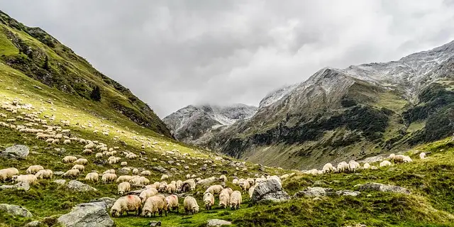 meet-me-in-the-yorkshire-dales Image