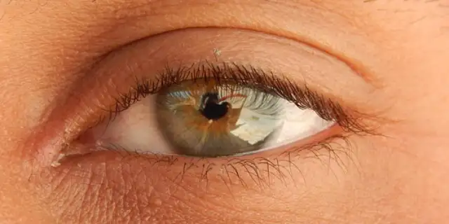 right-before-their-eyes Image