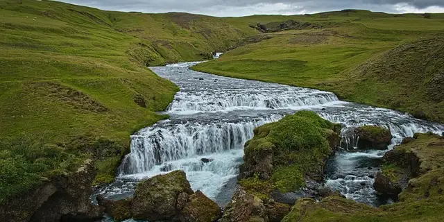 the-bible-companion-book-6-psalms Image